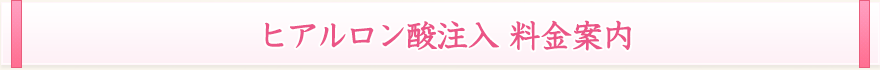 ヒアルロン酸注入 料金案内